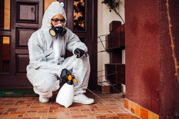 Reliable Wasp Removal contractor in Carbondale, PA by Show Me Pest Control